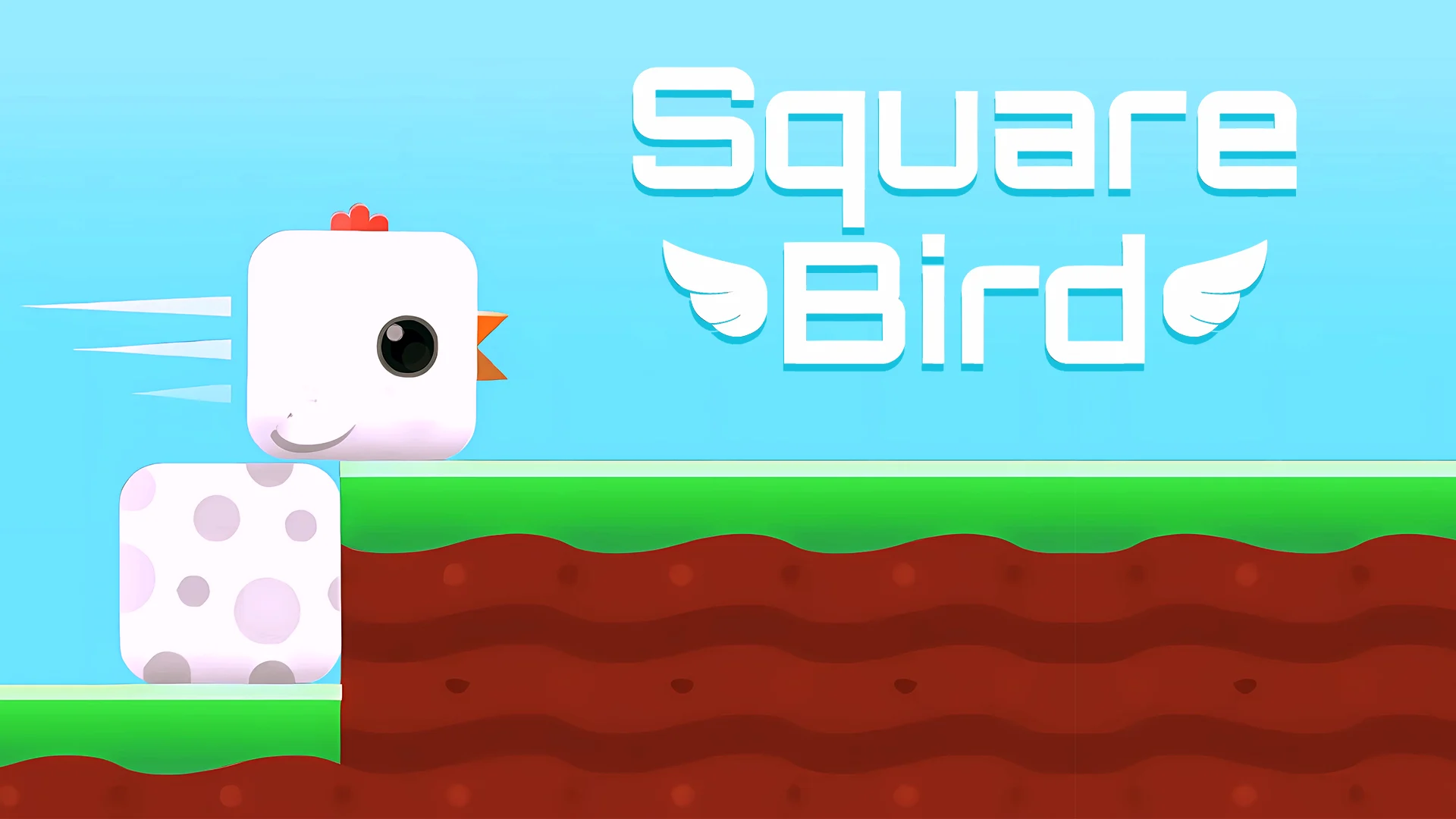 Square Bird